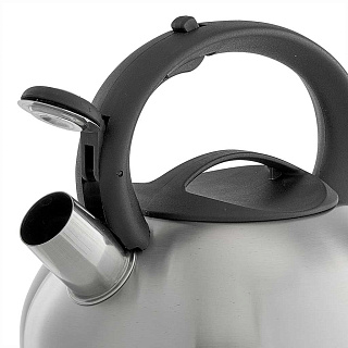 Чайник со свистком 2,5 л из нержавеющей стали, индукционное дно, сатин WEBBER BE-0599 черный