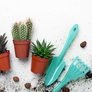 Набор садовых инструментов InGreen for Green Republic грабельки и лопатка для пересадки IG601012027 голубой жасмин