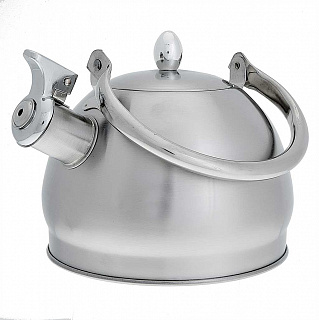 Чайник со свистком 2 л из нержавеющей стали, индукционное дно WEBBER BE-0560